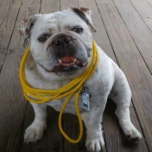 Meet your Posher, Greg